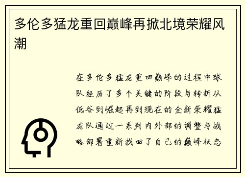 多伦多猛龙重回巅峰再掀北境荣耀风潮 多伦多猛龙重回巅峰再掀北境荣耀风潮